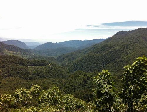 Bosque de Protección Altomayo