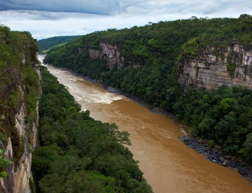 Altas temperaturas redujeron la pesca en Araracuara (Colombia)