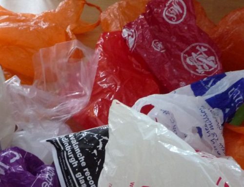 Bolsas de plástico: 5 datos que debes saber sobre su producción y consumo