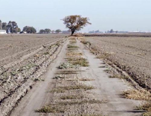 Este corto muestra porqué California extendió la emergencia por sequía hasta el 2017