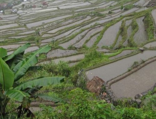 Estos 31 lugares que son Patrimonio  Mundial están en peligro debido al cambio climático [FOTOS]